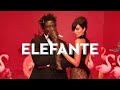 NK - Elefante