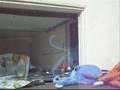 Gaara's garage