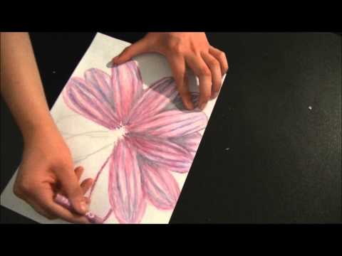 how to draw oil pastel flowers