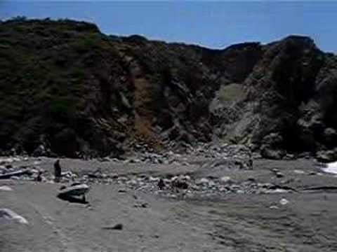 Limekiln state park in CA