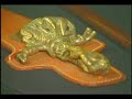 Video de explicacion