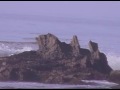Malibu Surf Camping Trip