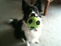 Futbol Anyone?
