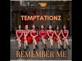OH MY GIRL(오마이걸) _ Remember Me(불꽃놀이) by TEMPTATION