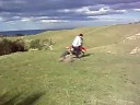 CRF 450