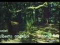 videos de tarzan.mpg