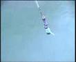 Bungy Jumping New Zealand