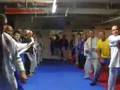 Pedro Bessa BJJ Ireland Blue belt Promotion