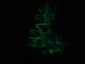 Hologlyphic Movies- Gelationous Vertibre - on 3D volumetric display with holographic properties
