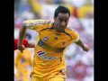 tigres y mas Delirio-auriazul