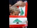Threw the eyes of a Lebanese Civilian