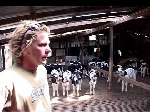 DeLaval calf feeder CF150