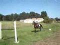videos de jellycoee obstacle