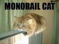 lol catz