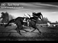 UND - Race Horse