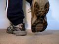 videos de Saucony Trail Running Trainers #1