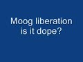 moog liberation
