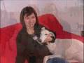 videos de Meeting Wonder on a visit to SOS Galgos