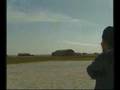 Anadolu Kartali - Anatolian Eagle