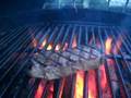 Rumpsteak