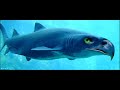 animangles