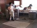 videos de Cricket CAT Chronicles Part 1