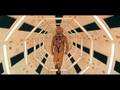 space.wmv