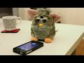 Video: Furby vs Siri http://t.co/d2LDFwEE