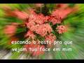 Assistir ao v�deo