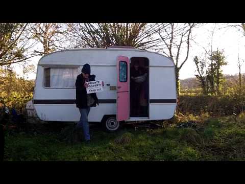 how to harvest mistletoe