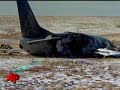 Odd Sounds Heard Before Denver Plane Crash