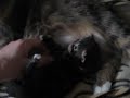 Trinny and baby Harvey