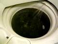 Fisher and Paykel Aquasmart Eco-Active