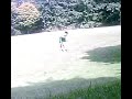Double Full on Grass, its sloppy, but how bout you do it