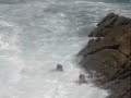 Agudela ??? Adrenalina acima de tudo...