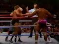 Lanny Poffo defends David Sammartino