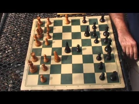 chess chess