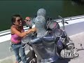 segway joust