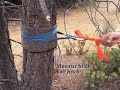 how to set up a slackline