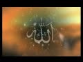Hz.Ali'den