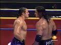 cibernetico