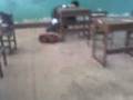 videos de Tirando MOCHILAS :GENTE DE 4E 