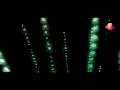 Matrix Rain