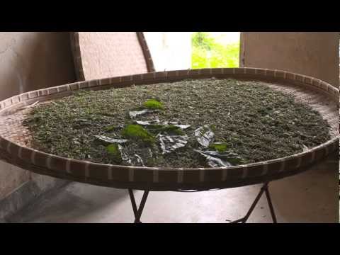 sustainable - The story is about 'Integrated Fish Farming', using traditional methods that have been adapted to modern circumstances, and opportunities to apply these as a...
