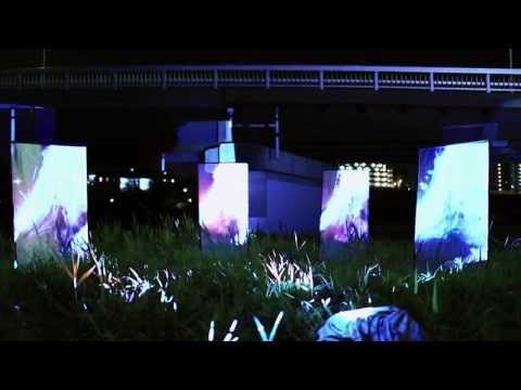 動画