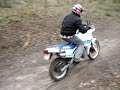 SUZUKI DR650