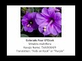Where the Roses Never Fade (Navajo Hymnal)