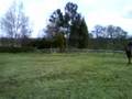 videos de galaxy and me jumping xx