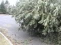 Walla Walla Massive Wind Storm