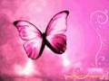 por amarte asi: mi amor delany